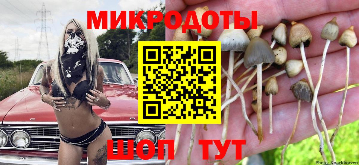 Псилоцибиновые грибы мухоморы Тайшет