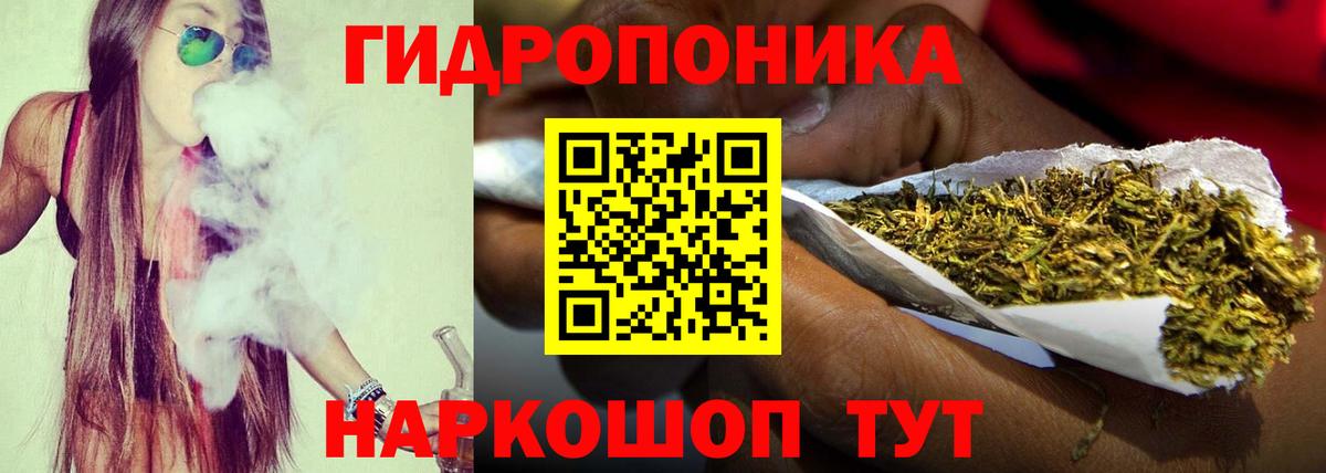 Шишки марихуана конопля  Вход с VPN  Тайшет  Конопля гибрид 